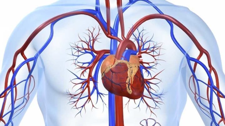 Ad Ischia un nuovo Centro specialistico di medicina cardiovascolare.