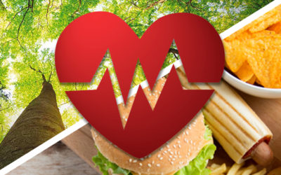 Sanità di prevenzione: ambiente, cibo e salute un trinomio indissolubile.