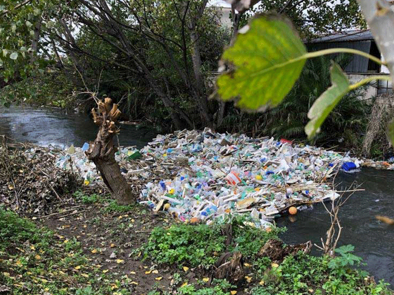 Difendiamo l’ambiente per vivere meglio
