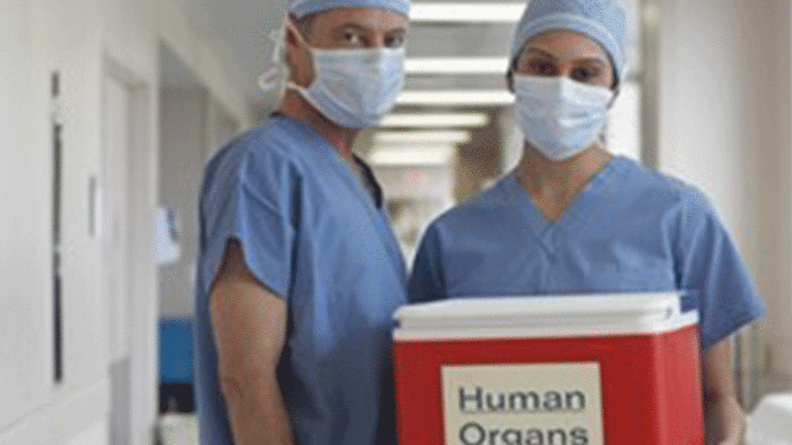 L’Aido Caserta sulla Messa per i donatori di organi