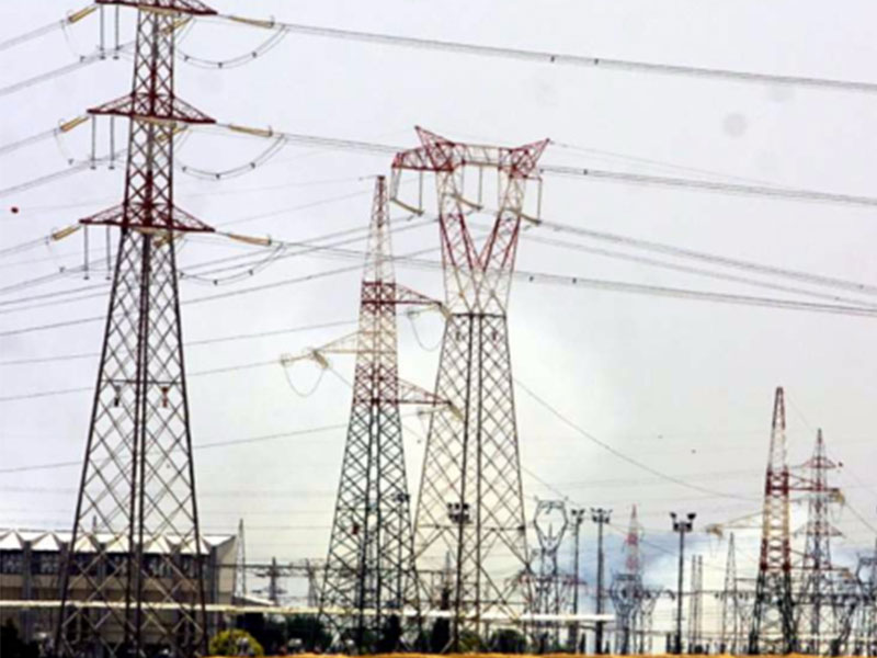 Una centrale elettrica al posto degli alberi