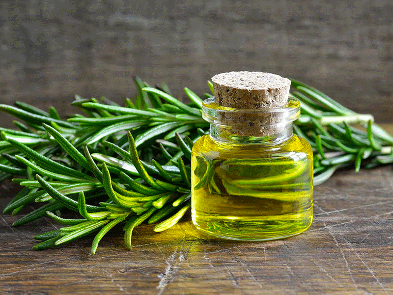 L’olio essenziale di Rosmarino