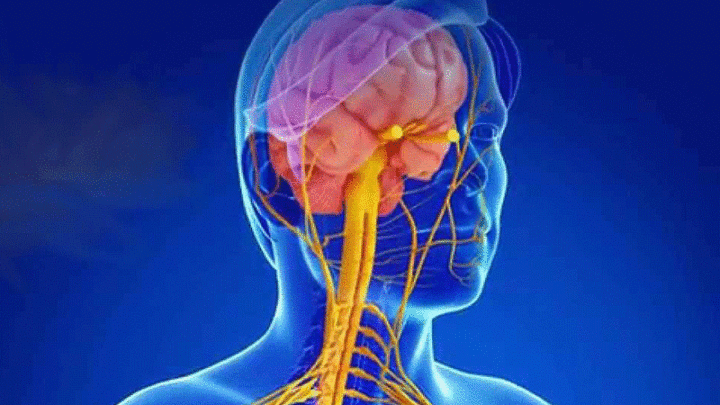 Sclerosi multipla, possibile nuovo trattamento