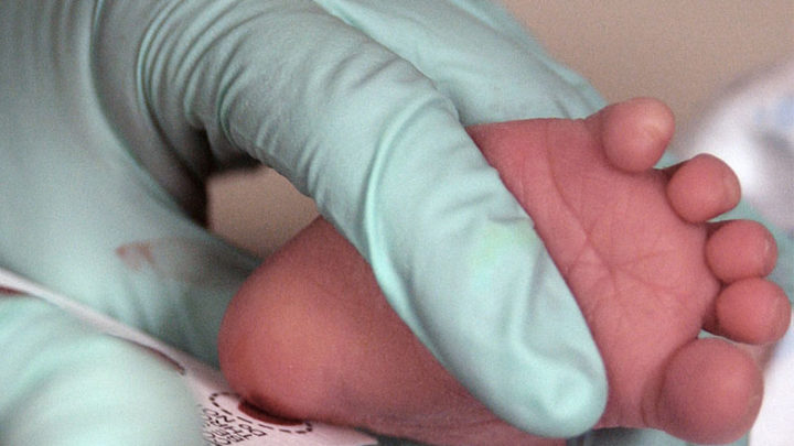 Screening neonatale, il tavolo virtuale