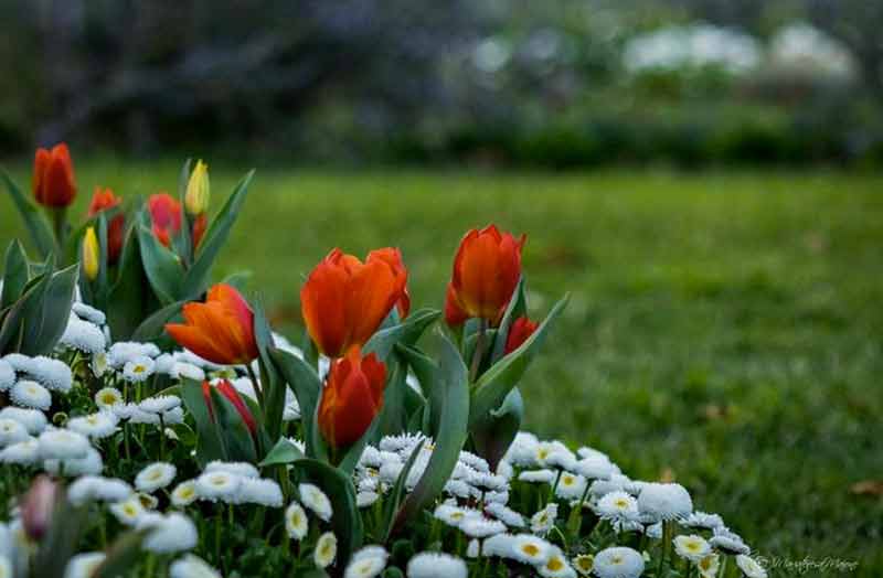 Estate e primavera, le stagioni della poesia