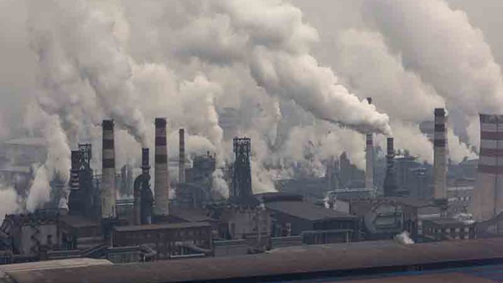 Come l’ambiente influenza la salute