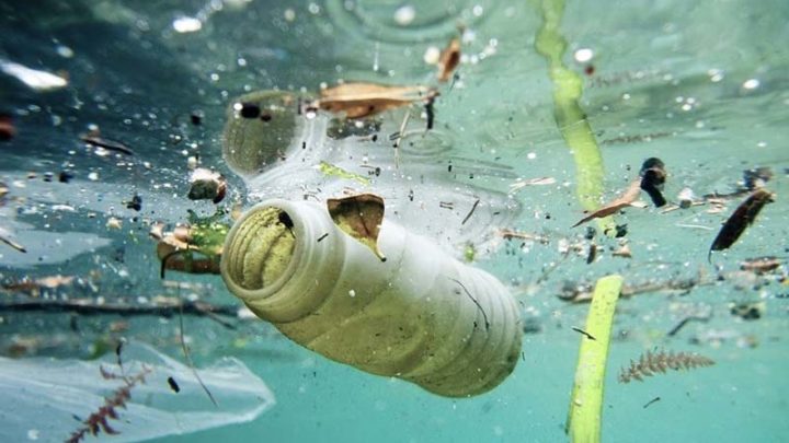 Marevivo, le plastiche monouso devono essere bandite dal mercato e dal consumo