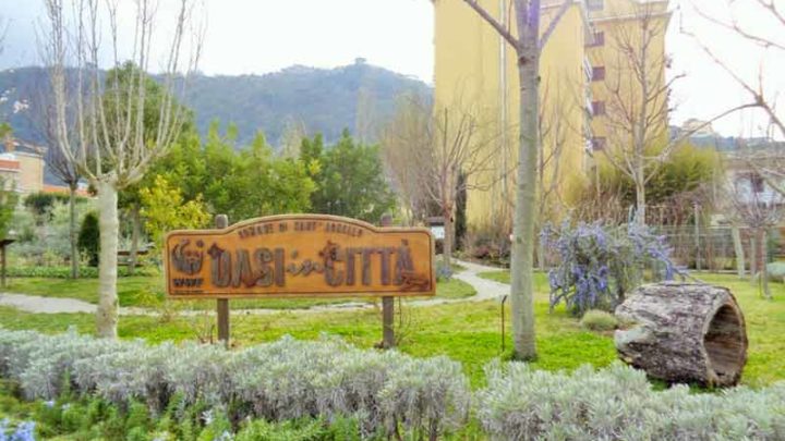 Una “boccata” di natura in città