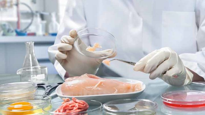 A Caserta lo Sportello per la sicurezza alimentare
