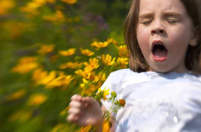 Allergie stagionali, dai pollini alle punture di insetto il vademecum su prevenzione e cura