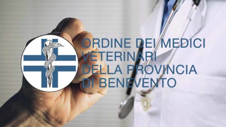 #difendichiticura