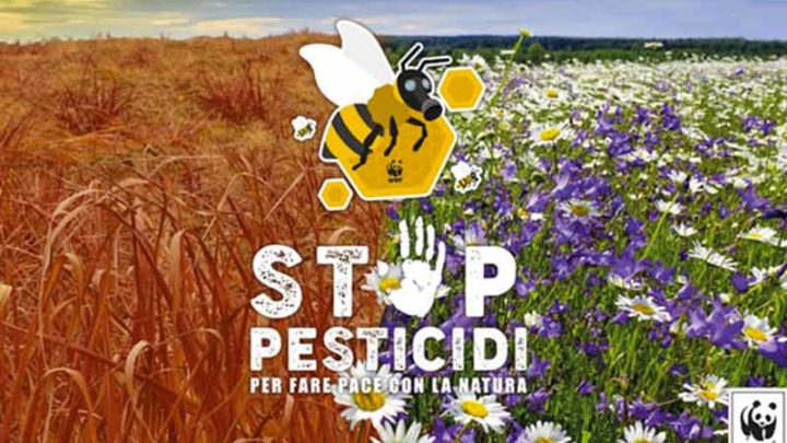 No ai pesticidi
