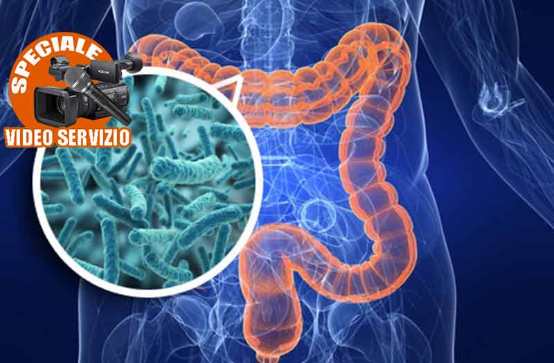 L’importanza della flora intestinale
