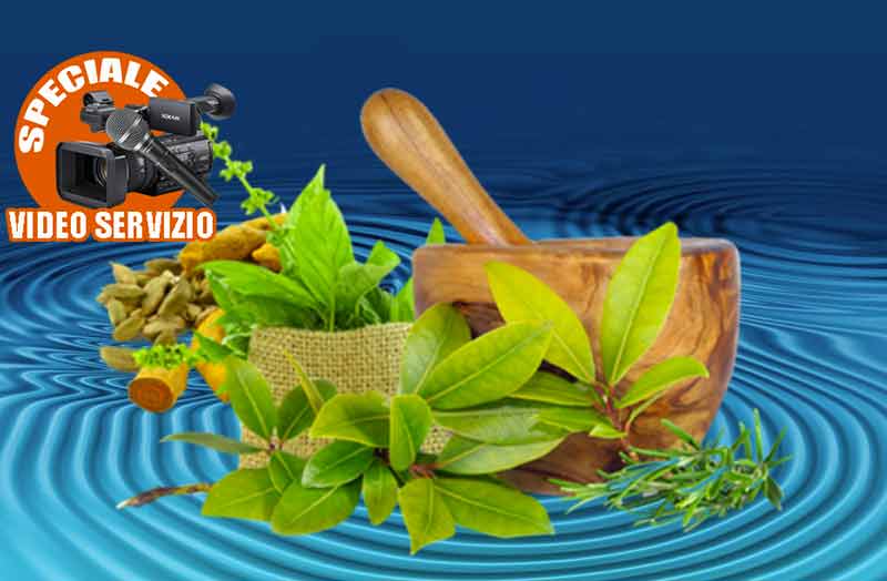 Biorisonanza e Fitoterapia