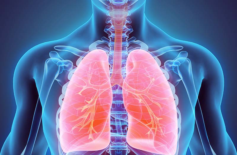 Terapie più incisive per la cura del carcinoma polmonare