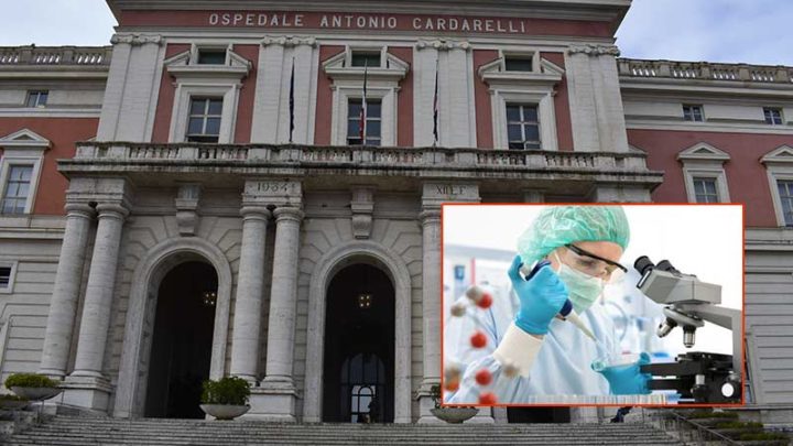 Cardarelli, ancora all’insegna dell’eccellenza