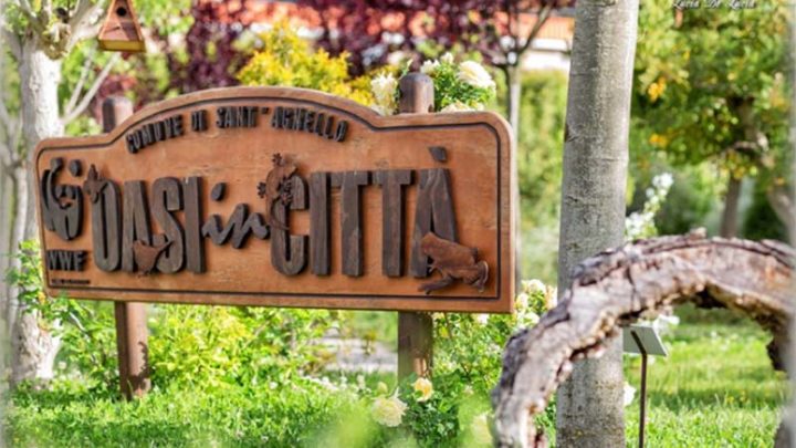 Domenica 29 settembre, è festa nell’oasi cittadina di Sant’Agnello