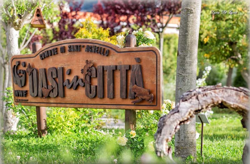 Domenica 29 settembre, è festa nell’oasi cittadina di Sant’Agnello
