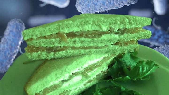 Sandwich “tossici”