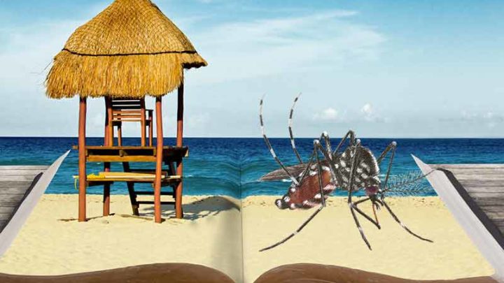 Paradisi tropicali o Bengodi di virus pericolosi?
