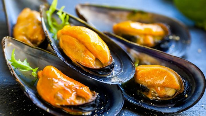 Cozze e “ricozze” storiche