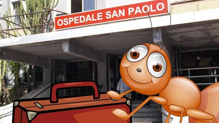 Amiche formiche, per favore, tornate al San Paolo