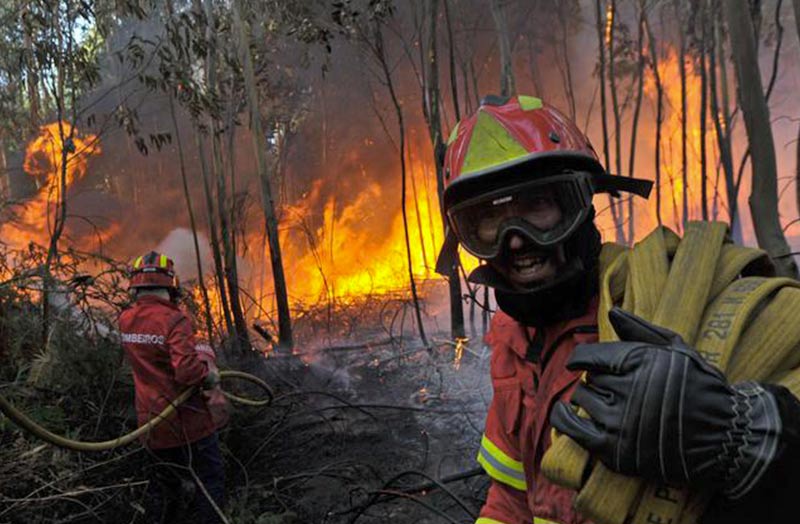 Piano per il contrasto degli incendi boschivi