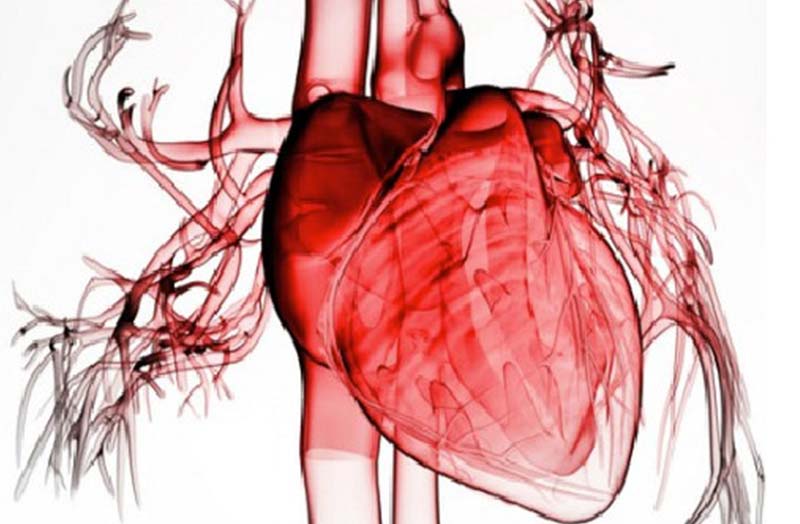 Lo scompenso cardiaco
