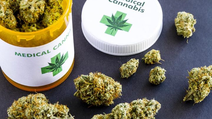 Ministero Salute, al via bandi per coltivare la Cannabis terapeutica