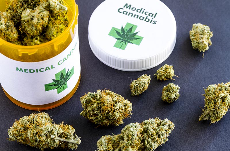 Sì all’uso terapeutico della Cannabis