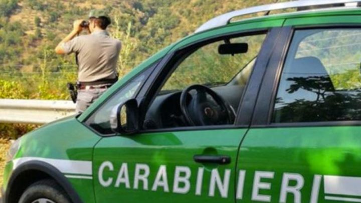 Carabinieri, ancora 2 operazioni per contrastare i reati ambientali