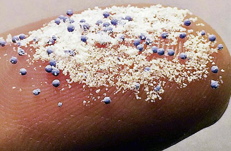 Microplastiche e macrorischio