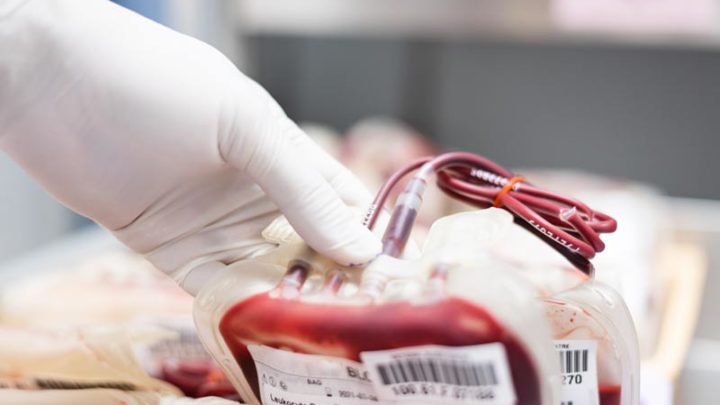 Ispettori UE in materia di sangue, affidata all’Italia la formazione