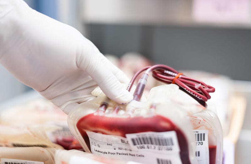 Ispettori UE in materia di sangue, affidata all’Italia la formazione