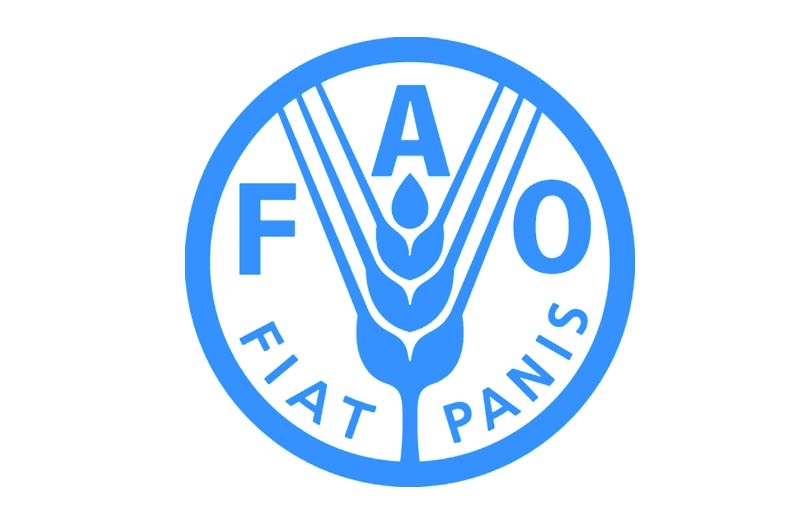 Fao, domani la Giornata Mondiale dell’Alimentazione