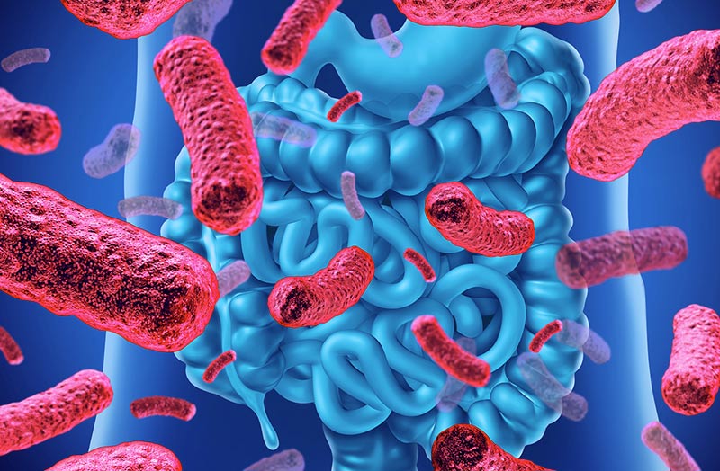 Esiste una relazione tra microbiota e tumore?