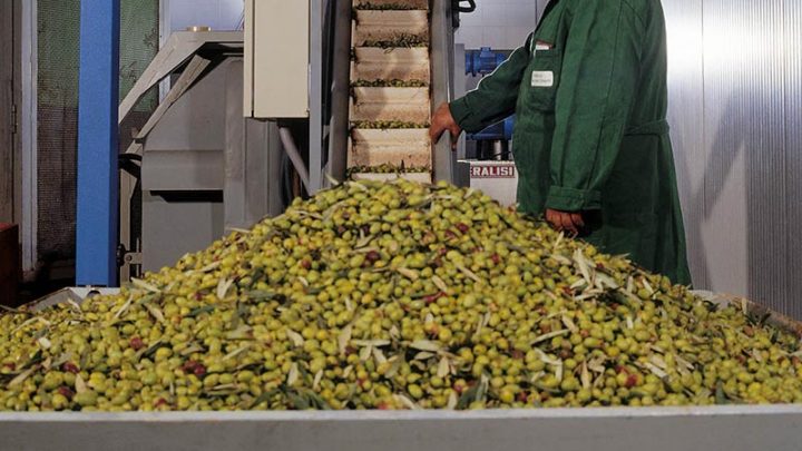 L’olio per promuovere il turismo