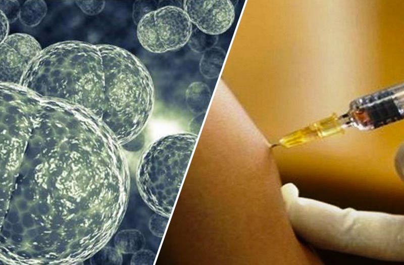 Meningite da meningococco