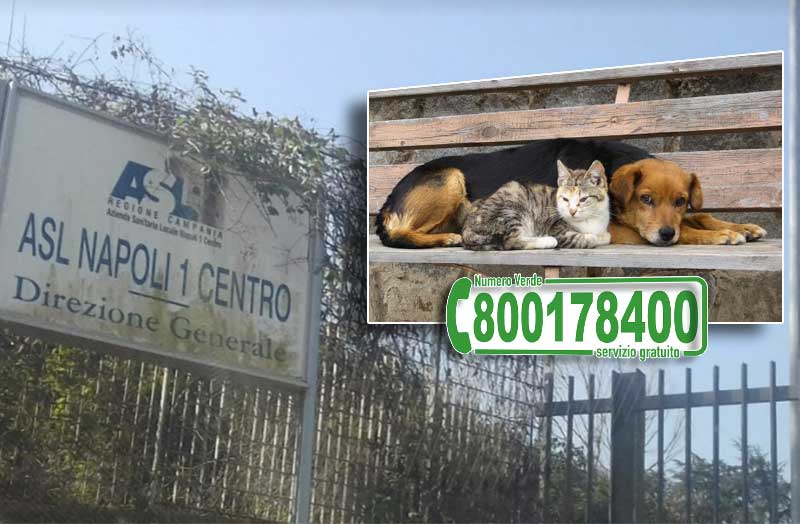 Emergenze veterinarie, parte il numero verde regionale