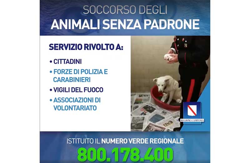800.178.400, gli amici a quattro zampe ringraziano