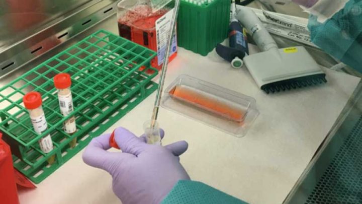 Coronavirus, risalgono i contagi