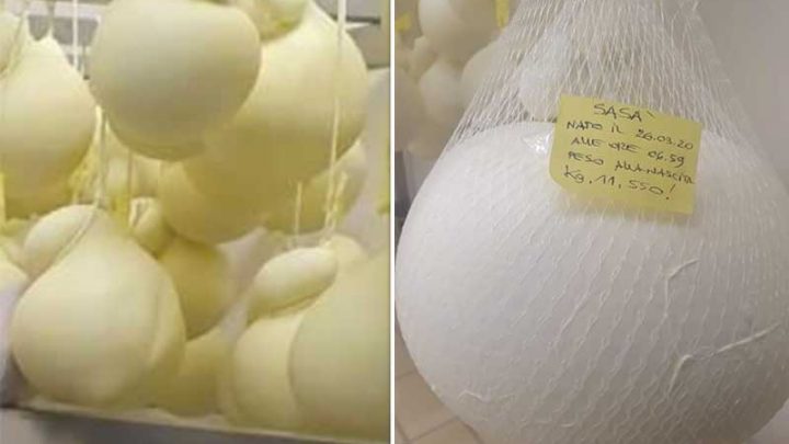 Salerno, “Caciobond” per combattere la crisi