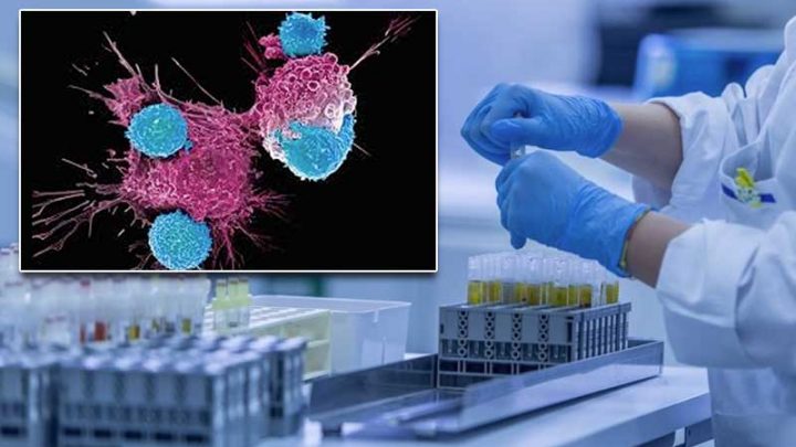 Università ed industrie insieme per sviluppare le terapie CAR T