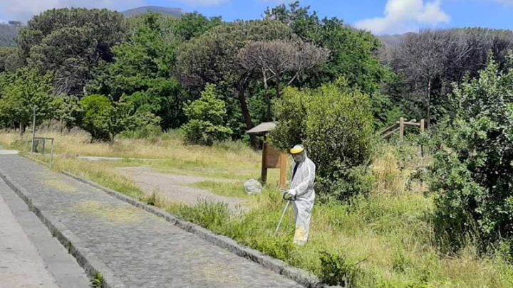Bonifica della località Piana Tonda