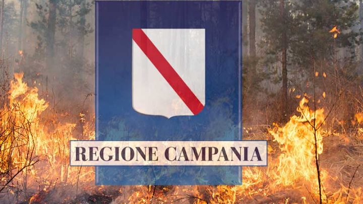 Combattere gli incendi dei boschi