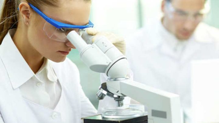 Influenza aviaria, Ministero della Salute: identificato caso umano in Lombardia