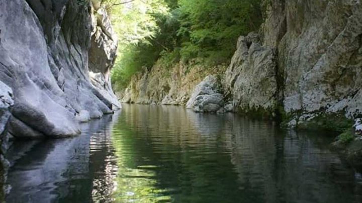 Tutelare l’ambiente per rilanciare l’economia