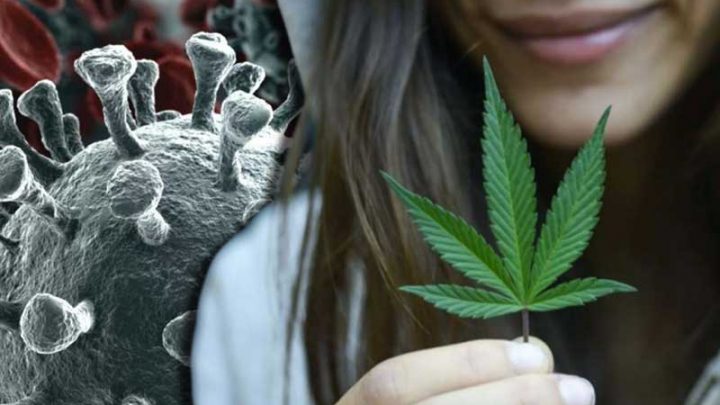 Cannabis? Una questione di … cuore