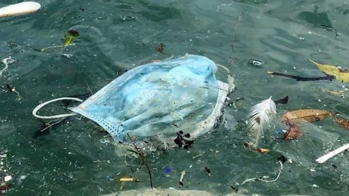 “Ghost Gear & Seawatching in Sorrento”, iniziativa conclusa con 750 chili di rifiuti recuperati