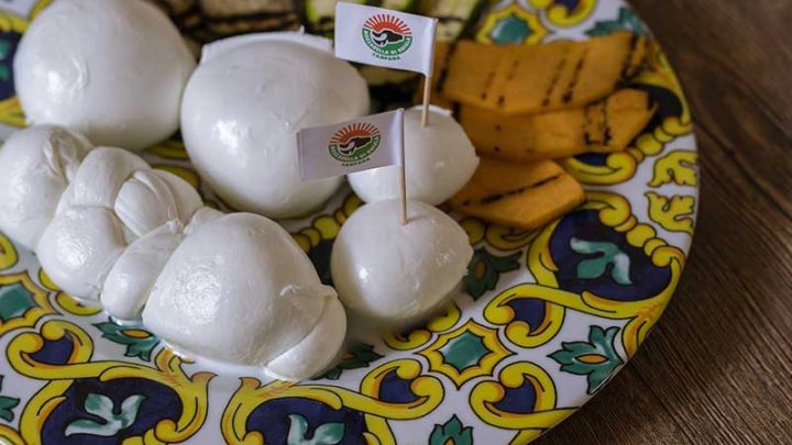 Mozzarella Dop, il vademecum del consumatore